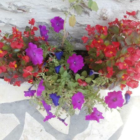 فندق مُديفي  Le Clos Fleuri المظهر الخارجي الصورة